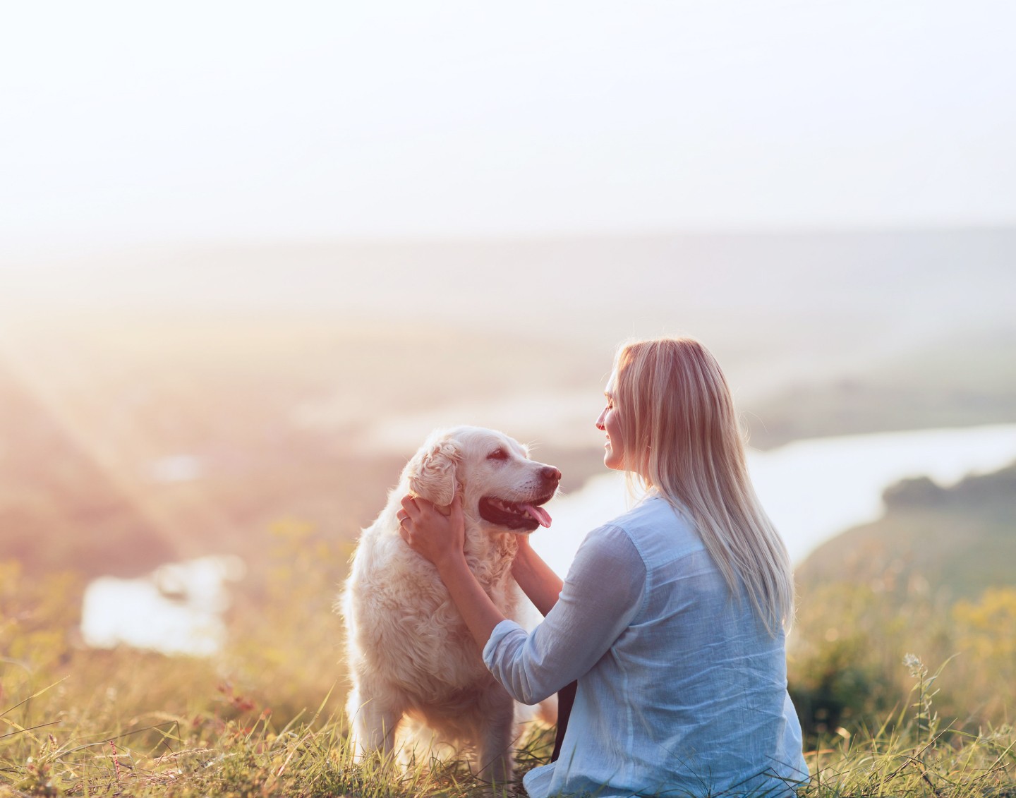 Voluntary pet benefits made easy