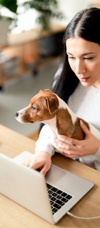 Girl holding a small dog working on a laptop